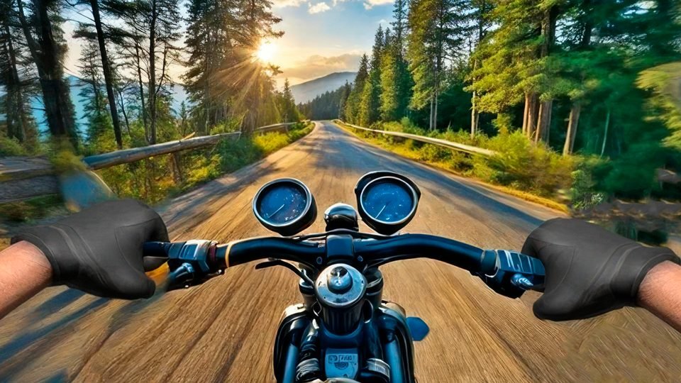 A first-person view from a motorbike handlebar on a sunny road through a pine forest.